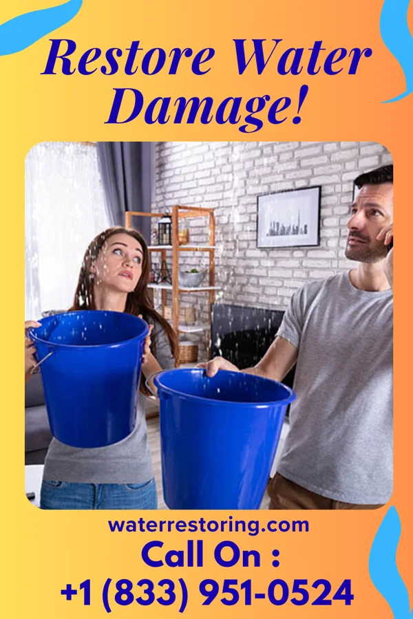 water restoration Reliable Water Cleanup Experts Manly